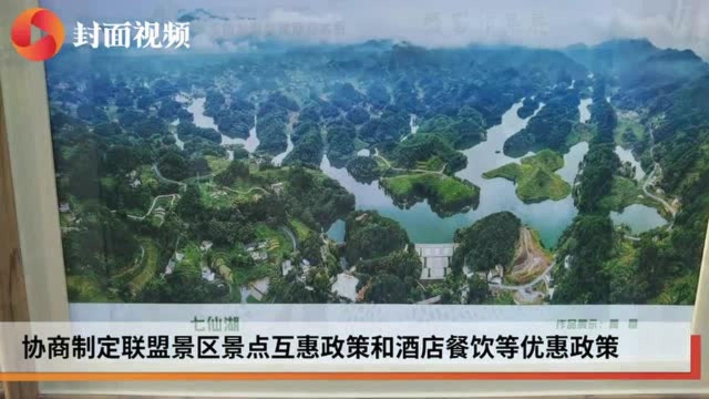 如何玩转“大竹海”?六条旅游环线走遍川滇黔渝