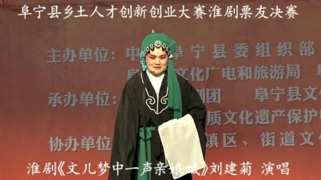 阜宁县淮剧票友决赛 淮剧《文儿梦中一声亲娘喊》刘建菊演唱 平艺