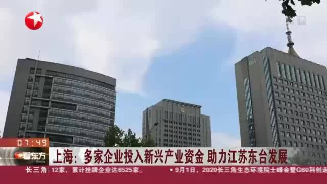 上海:多家企业投入新兴产业资金 助力江苏东台发展