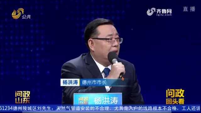 问政回头看|德州市市长杨洪涛:三项措施优化营商环境 处理处分44人