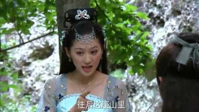 小朋友说张宝珠是狐妖,张宝珠懵了说我是人,小朋友太搞笑了