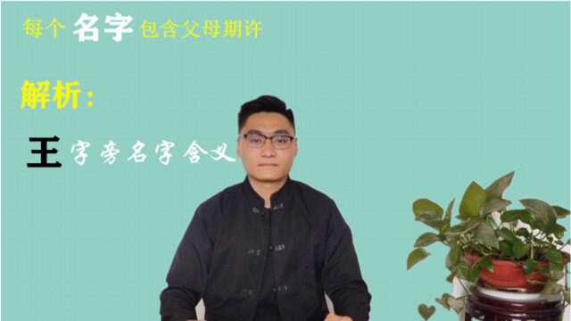 每个名字背后都有故事,王字旁名字有王者风范,以德服天下!