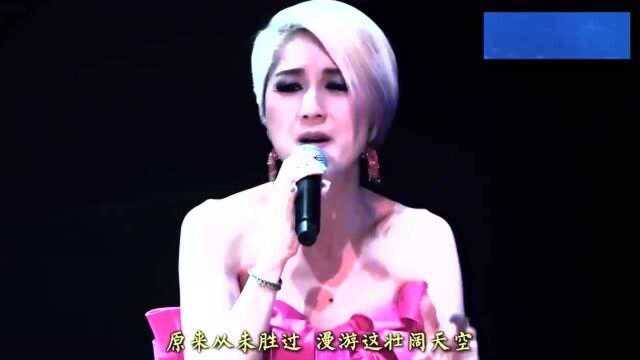 杨千嬅 321.GO 演唱会,《翅膀下的风》