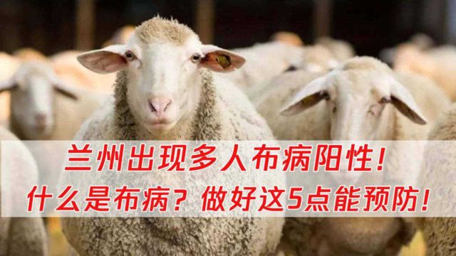 兰州出现多人布病阳性!解密:“布鲁氏杆菌病”到底是什么?