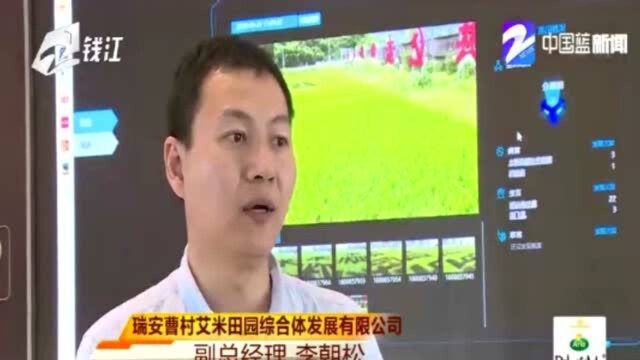 5G智慧农田项目 无人机巡田、5G稻脸识别 新技术让种田更智慧