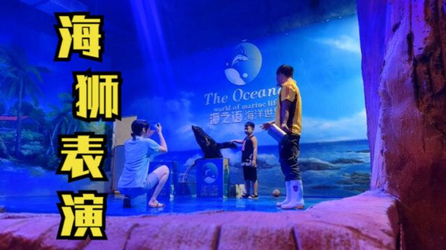 海洋馆的海狮表演太酷了!5min模仿多个动作,后台拍照20元一位!