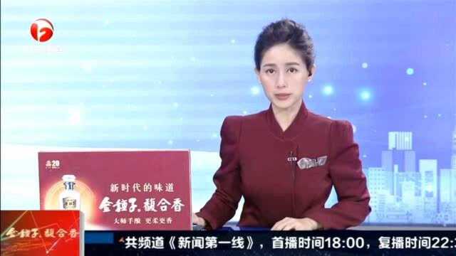 “金鱼小姐”集体亮相合肥海洋世界 先来一睹为快!