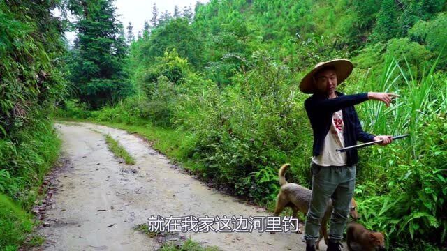 深山隐蔽老潭钓鱼,大货在眼底肆虐横行,小伙没忍住跳下去了!