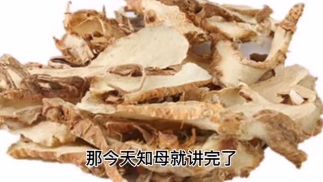 知母是什么?它有什么作用?临床上可以用于哪些脏器的热邪?