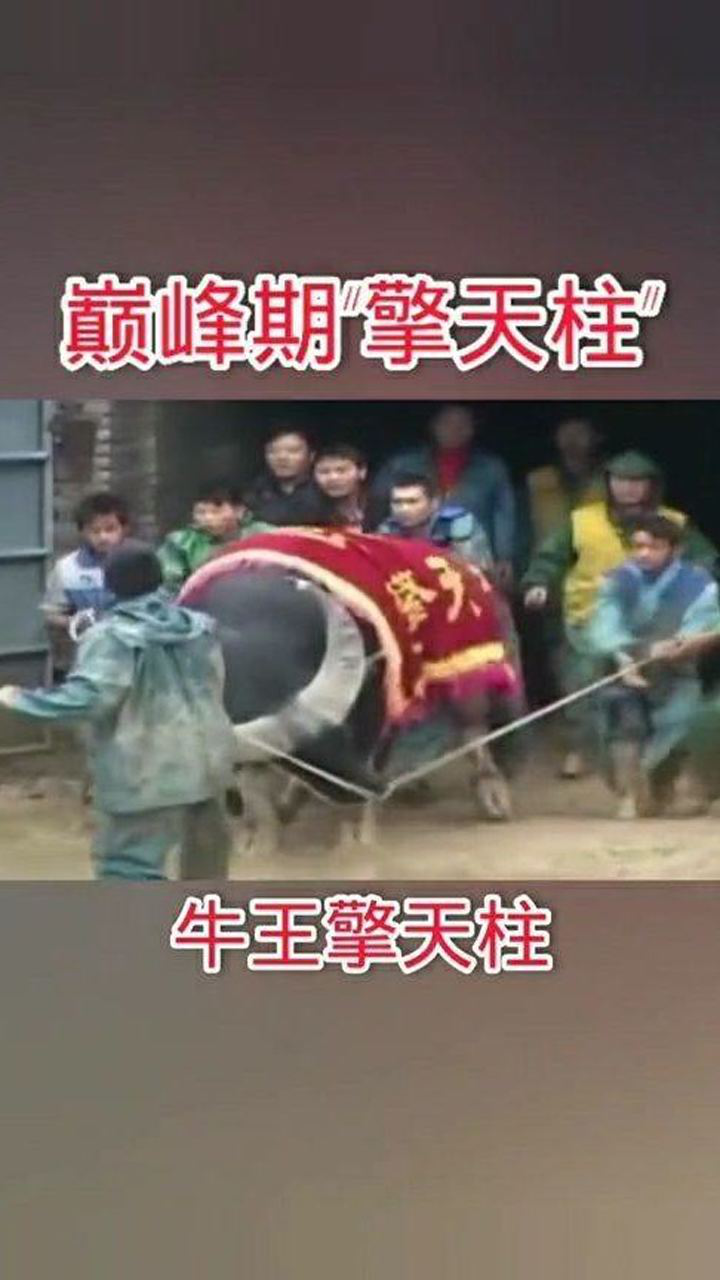 中国牛王擎天柱,堪称拳击界的泰森