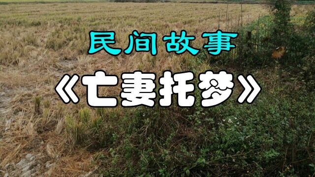 民间故事:《亡妻托梦》王雄和妻子朱氏感情很好