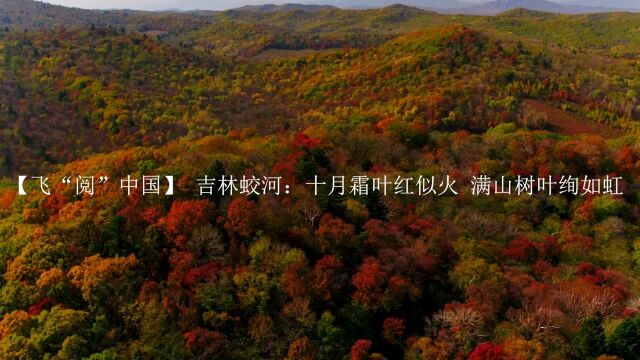 【飞“阅”中国】 吉林蛟河:十月霜叶红似火 满山树叶绚如虹