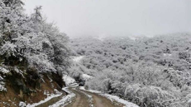 红池坝等高海拔地区迎来降雪天气 白茫茫一片宛如仙境