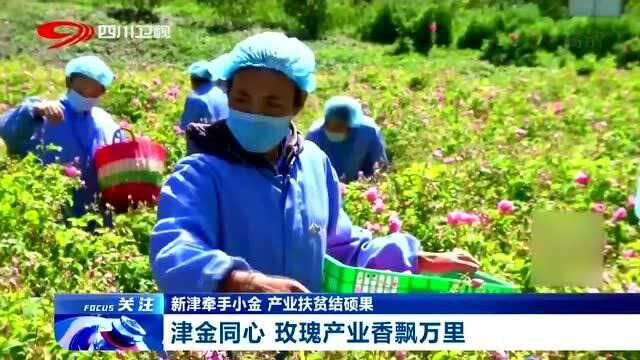 新津牵手小金,实施扶贫项目76个,打造“百万小康村”