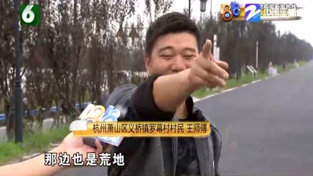 杂乱滩地摇身一变 生态提升成了“网红” 吸引不少游客打卡