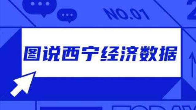 西宁市规模以上工业企业经济效益有所好转