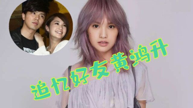 杨丞琳收黄鸿升花篮,演唱会追忆黄鸿升:我相信他一定也有来