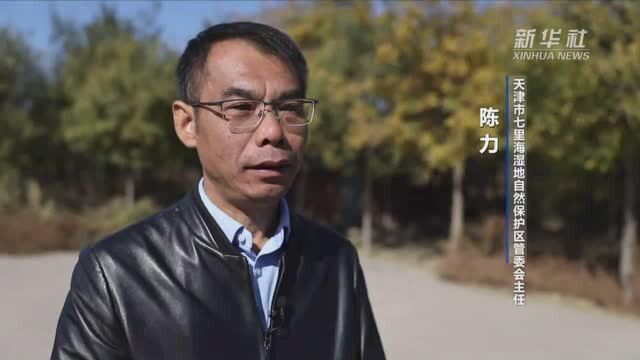 五中全会精神在基层|人与自然和谐共生的“天津实践”