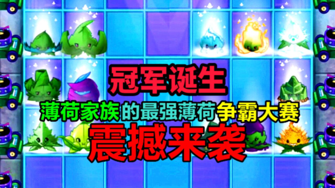 【pvz沙雕配音】薄荷家族最强薄荷争霸大赛的冠军赛