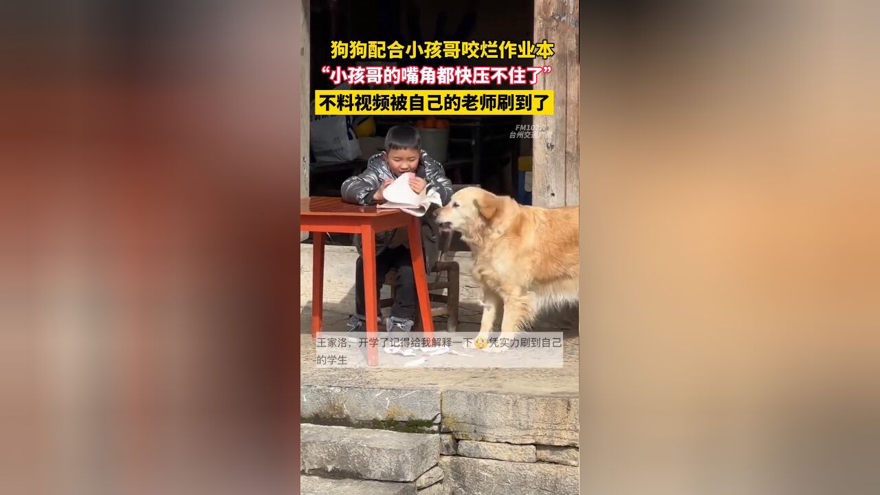 狗狗配合小孩哥咬烂作业本,不料视频被自己的老师刷到了