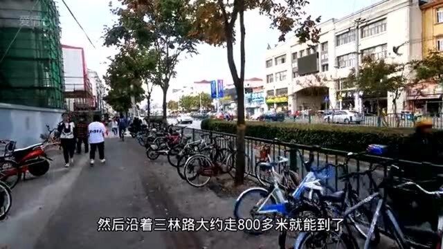 上海市区的古镇,商业味不重,地铁直达,人气为什么不如召稼楼和七宝?