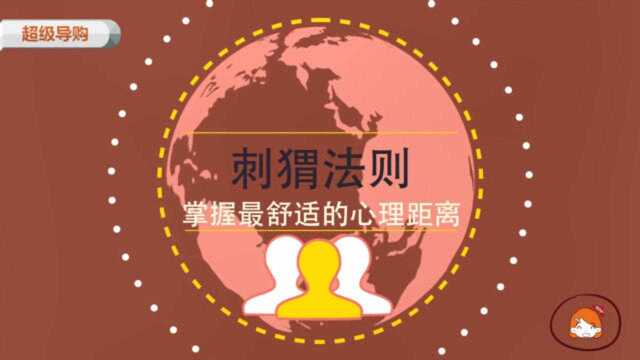 刺猬法则:掌握最舒适的心理距离