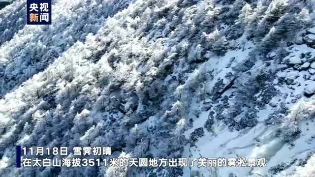 秦岭太白山现雾凇美景 带你进入童话世界