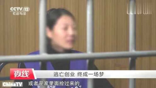 回顾:女子被网上追逃,隐姓埋名生活,从业务员做到了年薪数十万的高管