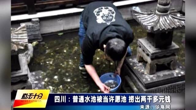 景观池被当许愿池捞出两千多元,景区:这真是一个普通水池