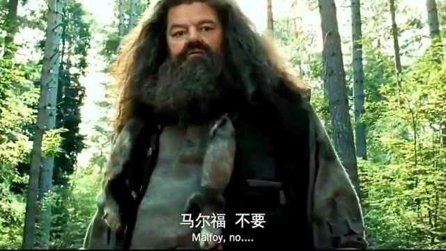 马尔福要不是有这样一张帅脸,估计他早就挨揍了,真的太皮了