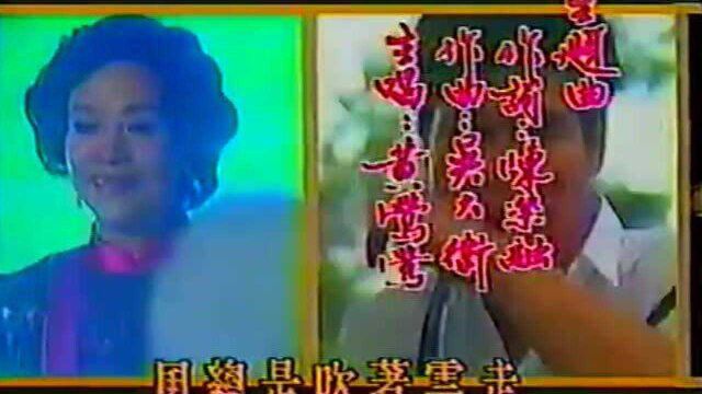 影视歌曲原声带:《风的心》黄莺莺演唱,台湾电视剧《风云时代》主题曲