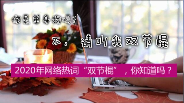 你是单身狗吗?不,请叫我双节棍.2020年网络热词“双节棍”……