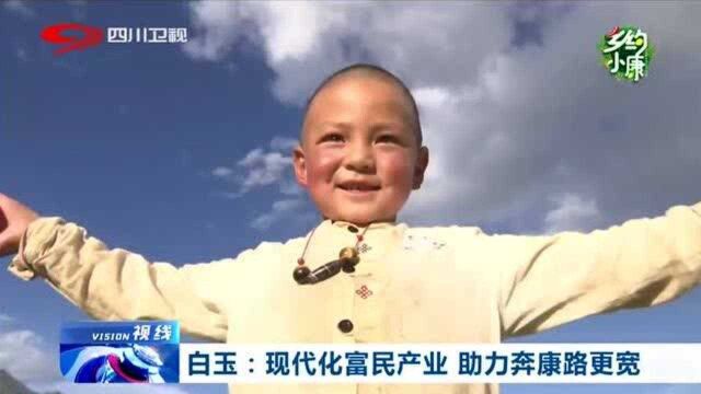 白玉:现代化富民产业,助力奔康路更宽