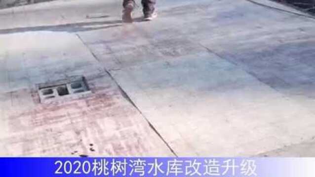 2020桃树湾水库改造升级