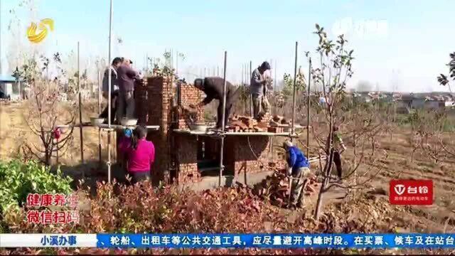 邹城:带领村民 发展花椒特色种植