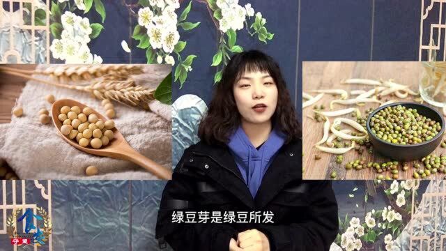 原创丨黄豆芽绿豆芽“各司其职” 怎么选择看需求