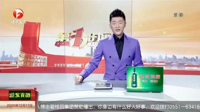 百年鸿业开新纪 记录喜事贺新春