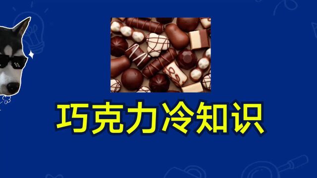 机智的冷知识:你不知道的巧克力,结尾的灵魂问答你能答出来吗?