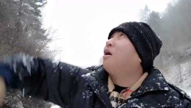 东北终于下大雪了,无人机航拍降雪过程,空中黑压压一片太震撼