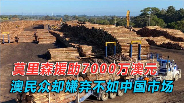 莫里森头不铁了?澳公司:给我7000万澳元,还不如直接给我中国市场