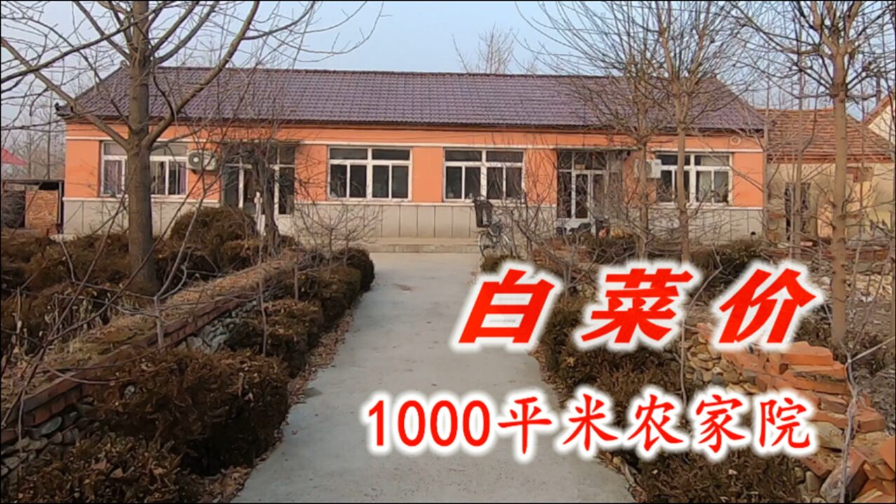 丹东农村1000平米农家院能卖多少钱?也有免费住的房子,你来吗