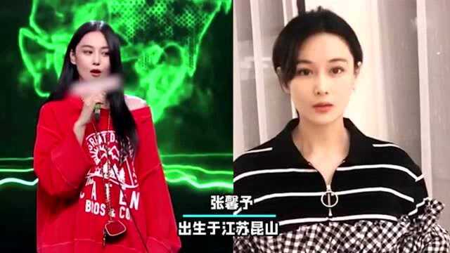 娱乐圈江苏美女,个个都是高人气美女