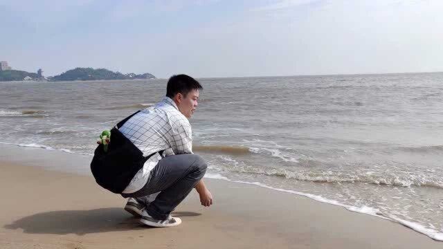 珠海旅行vlog珠海美丽湾,没有商业气息,闲时过来逛逛十分不错