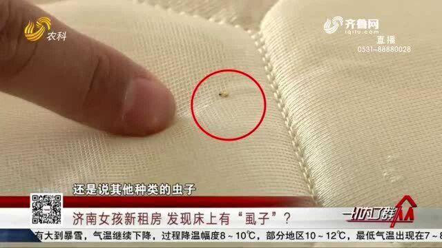 瘆人!济南女孩新租房 发现床上有“虱子”?