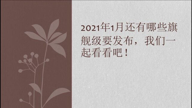 2021年1月将要发布的旗舰手机!