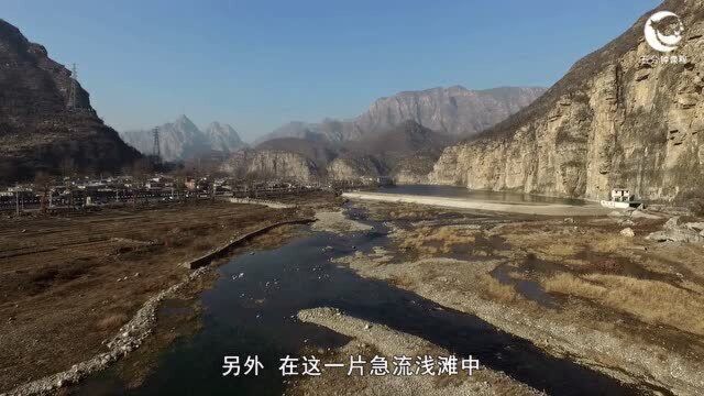 47.鸟与自然山地篇 十渡之冬 拒马河之殇(四)VA0