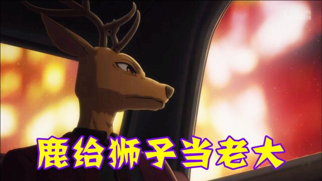 在吃肉犯法的世界里,鹿也可以成为狮子群的老大,《BEASTARS》