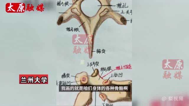 医学生手绘解剖图如印刷版,网友感叹:有种灵魂画手叫医学生