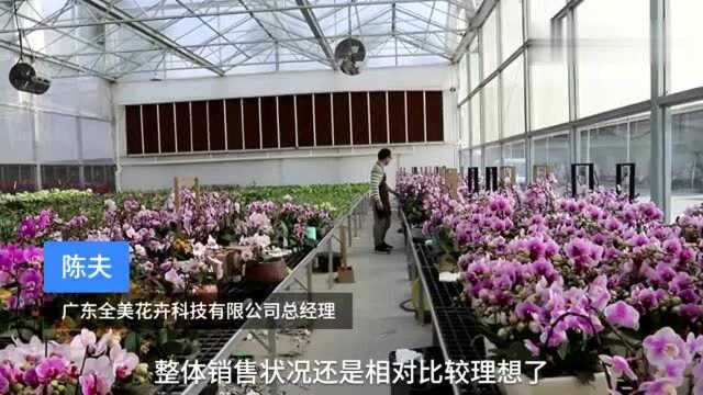 “网上花市”为花农提供销售新渠道