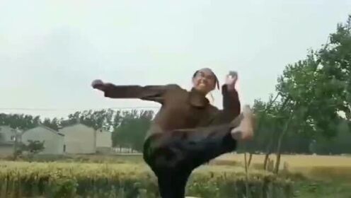 大爷你这是师承何门何派啊,还记得有一招从天而降的掌法,你会吗?